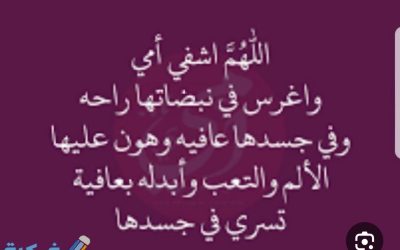 لدينا مشاوير خاصه شهريا يوميا من غرب الرياض الى جميع احياء الرياض للتواصل واتساب